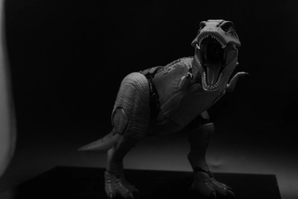 Image uploaded by Trey