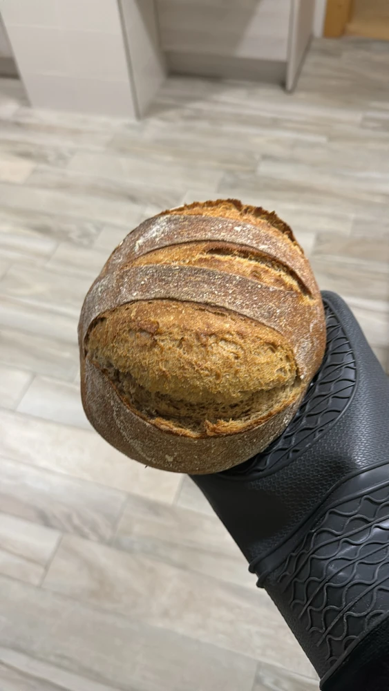 Bild hochgeladen von Agustín