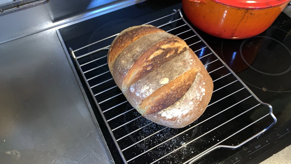 Bild hochgeladen von Agustín