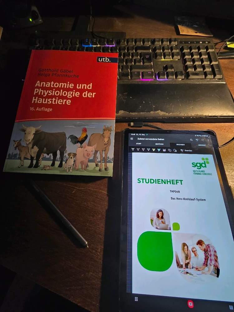 GIF hochgeladen von Emely