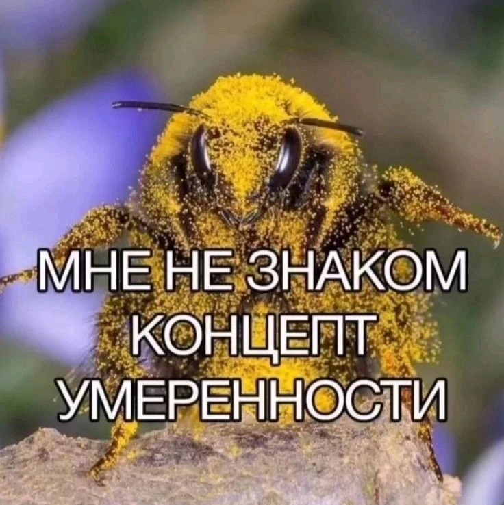 GIF загрузил Tida Moss