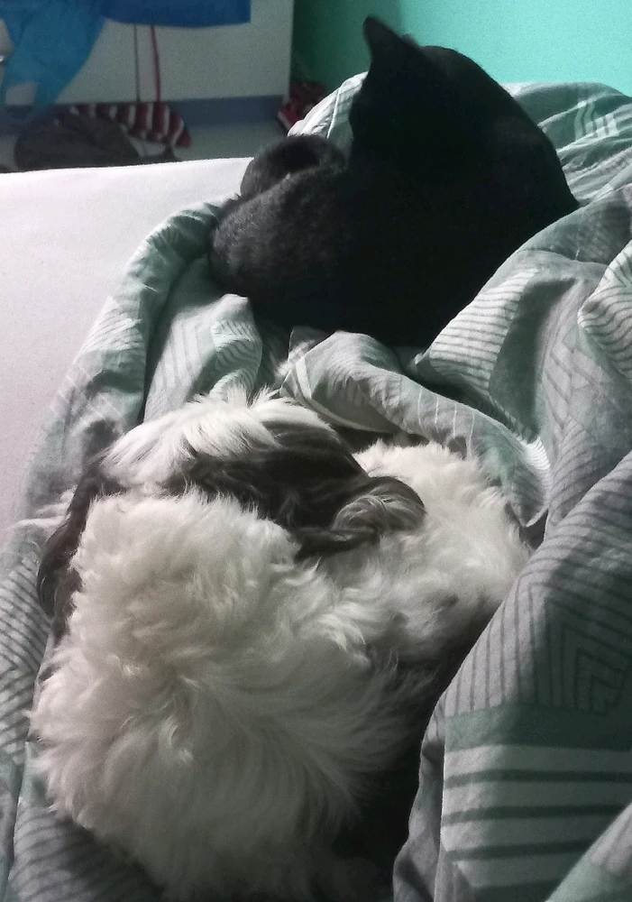 Imagem enviada por JJy