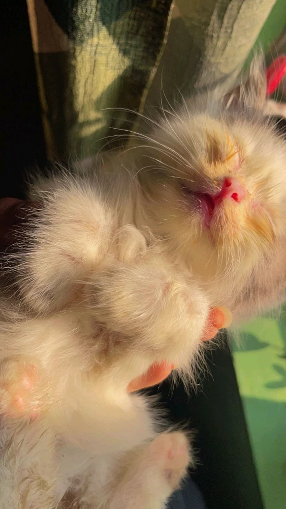 GIF uploaded by Ajuu