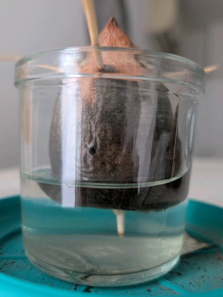 GIF uploaded by Aviv