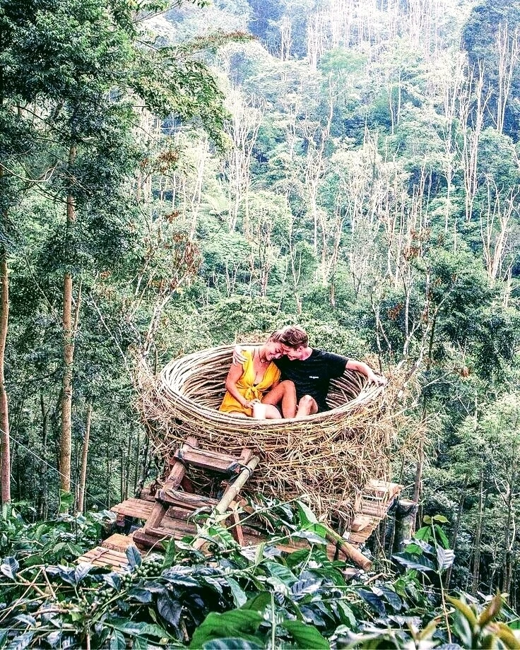 GIF อัปโหลดโดย ตาปี