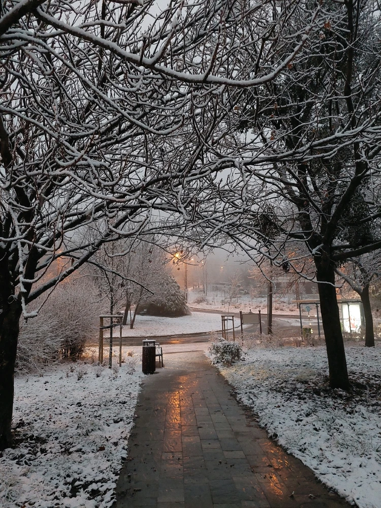 RainSpark által feltöltött GIF