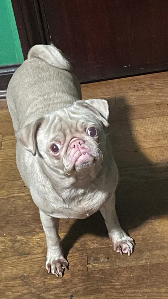 GIF uploaded by ᥫ℞ᵞᴯ⩜ᴯᵞ perry