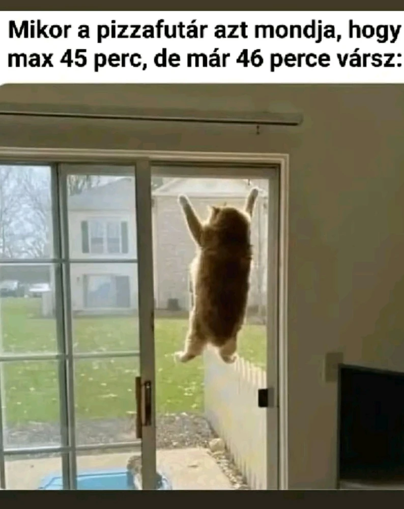 vanazúgy által feltöltött GIF