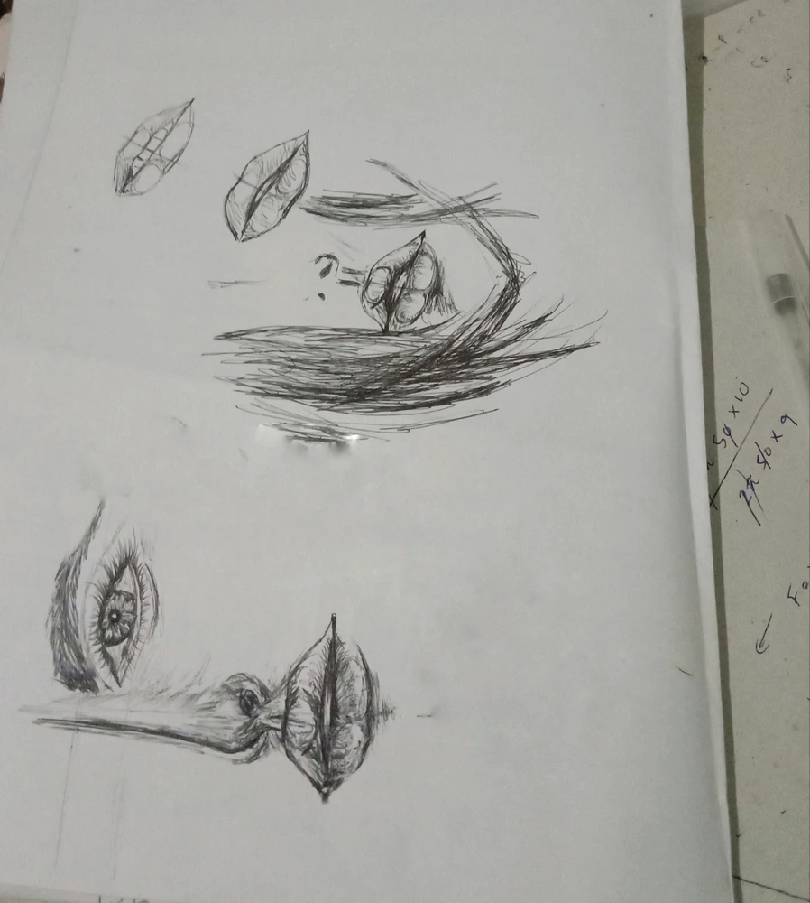 Hashi上传的GIF