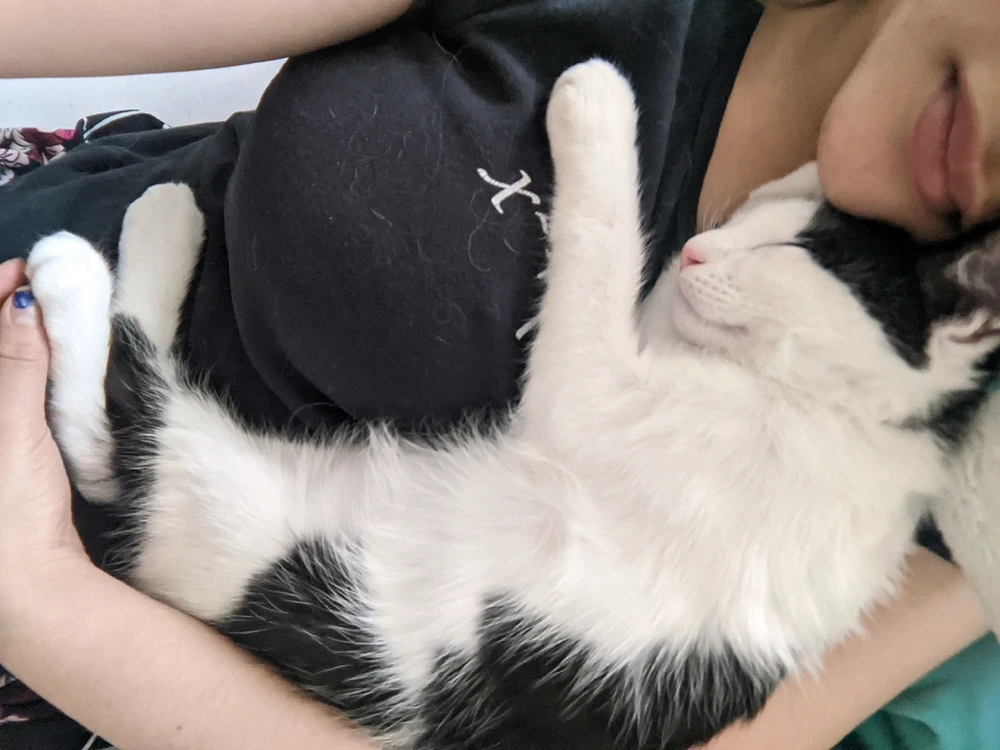 Baby cat, sleeping on me after a hard day of trying to eat my toes