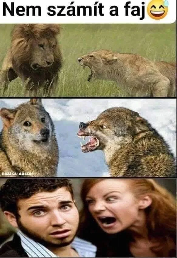 Máté által feltöltött kép