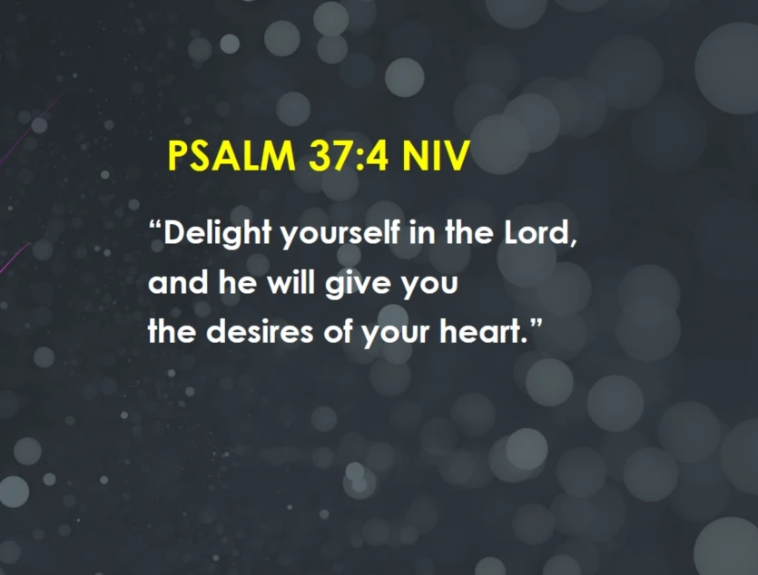 GIF uploaded by Elli