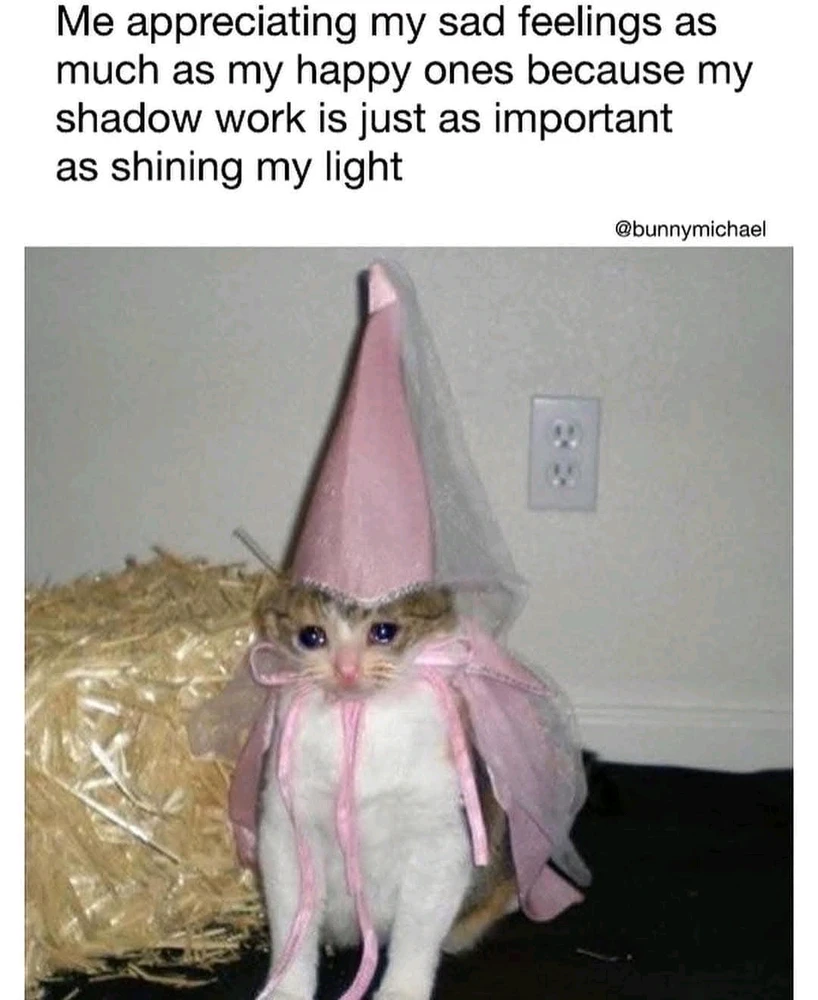 GIF uploaded by Steph