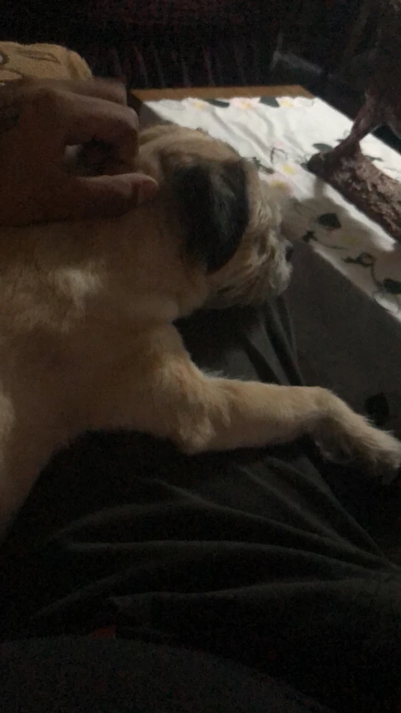 Imagen subida por Carlitos