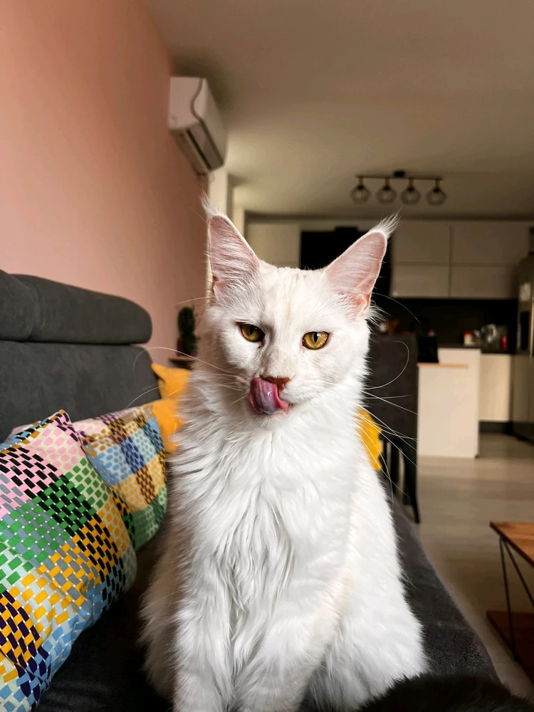 GIF enviado por Foxx