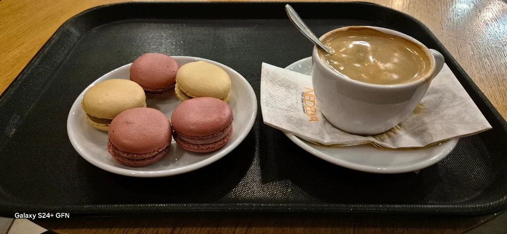 GIF încărcat de GFN