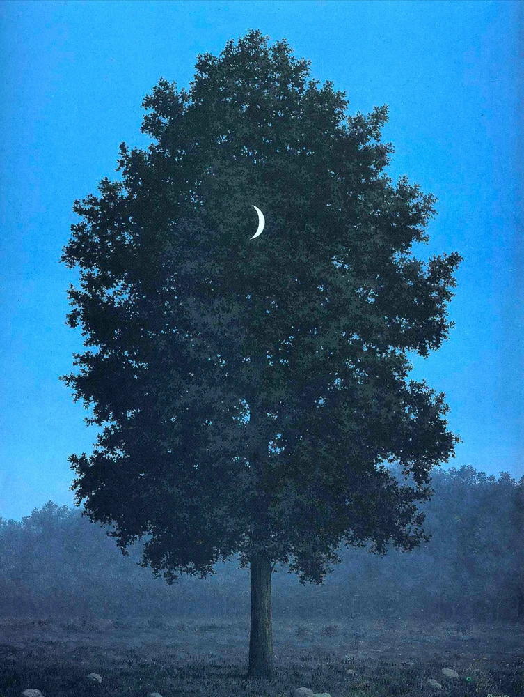 Obrázek nahrál Irónia