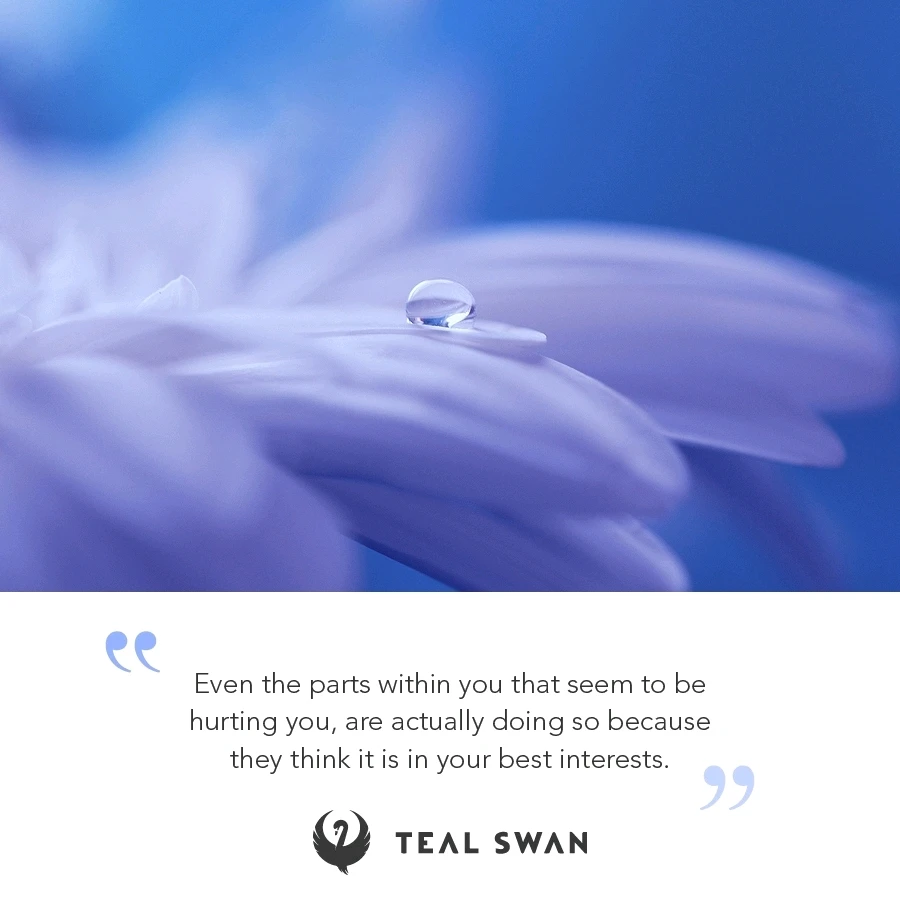 Try to understand it( see into it, hear it, feel it..whatever it needs..)  its valid to feel and think that even if it's not true