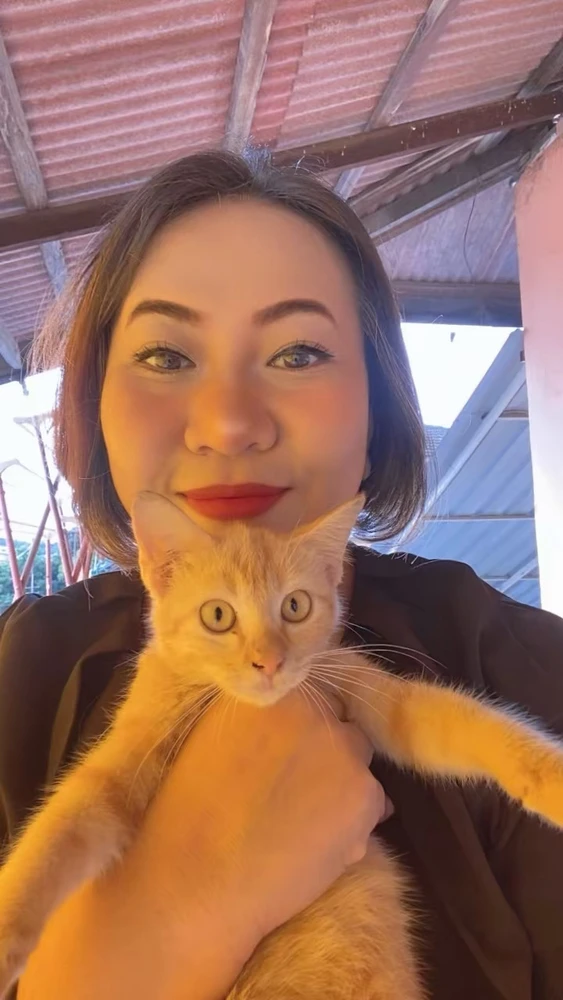 Mood booster! 😽🧡🐈