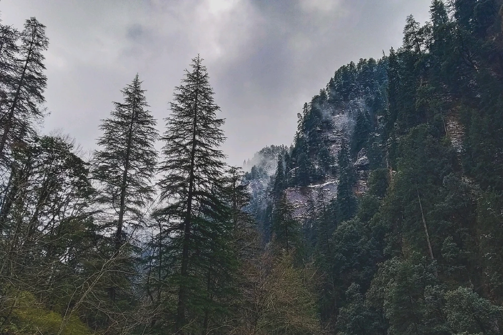 Arijit上传的GIF