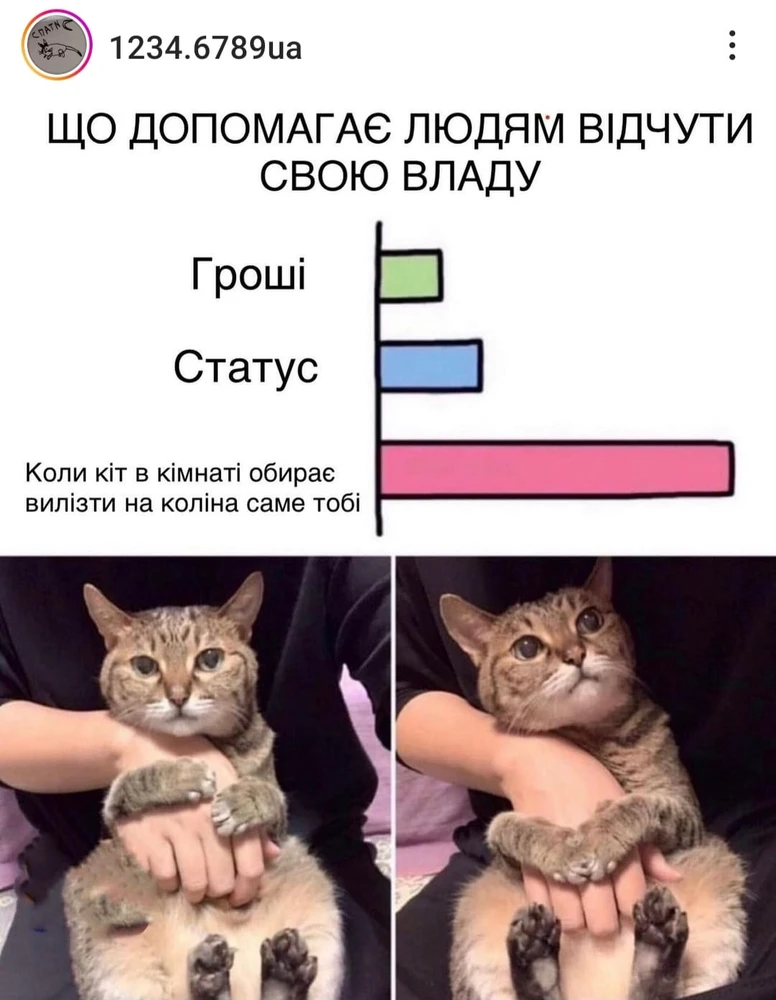 Зображення завантажив Walt