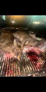 GIF uploaded by B-Rice