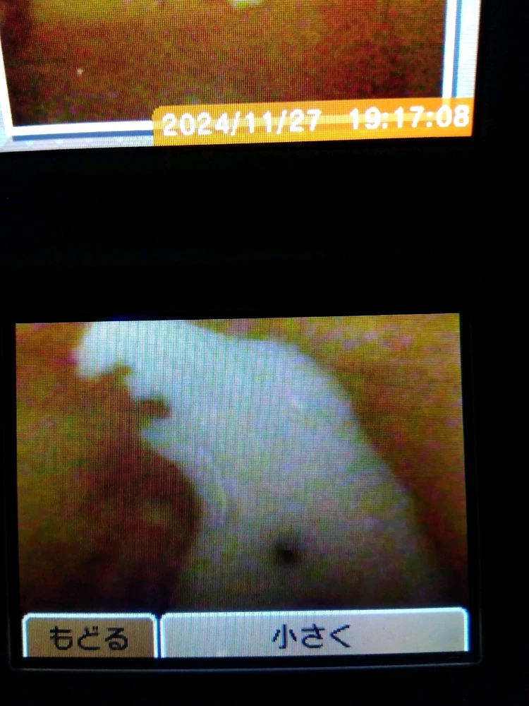 Obrázek nahrál エイミー