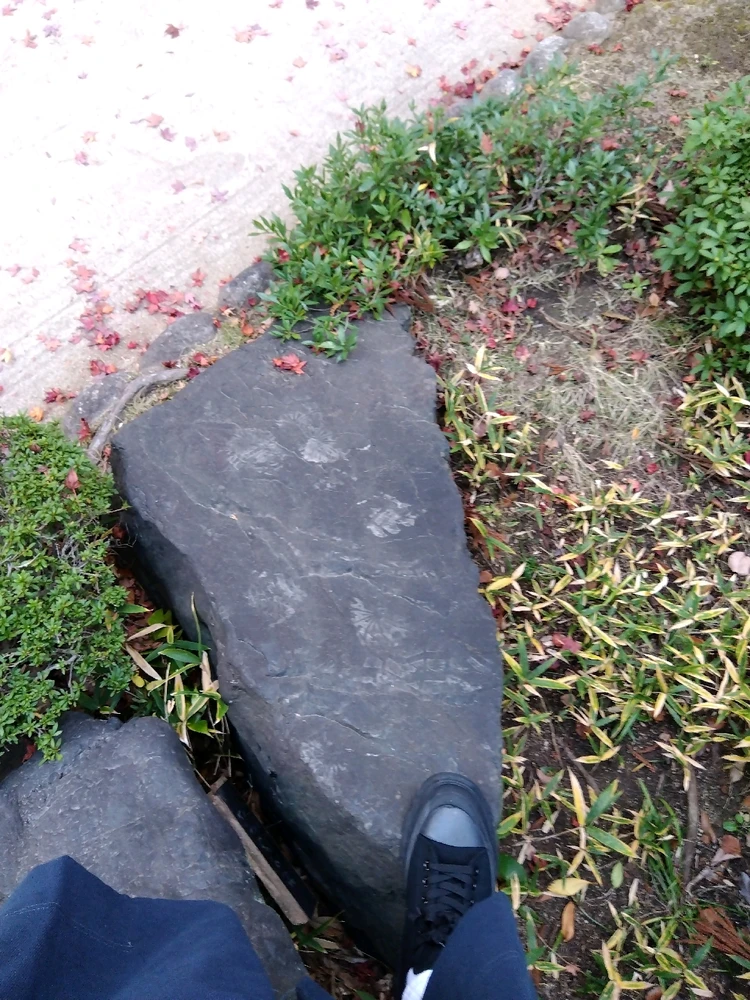 Obrázek nahrál エイミー