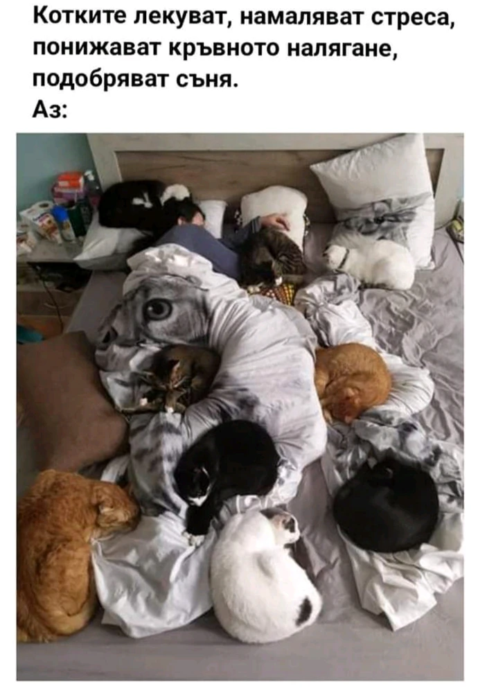 GIF качен от Лора