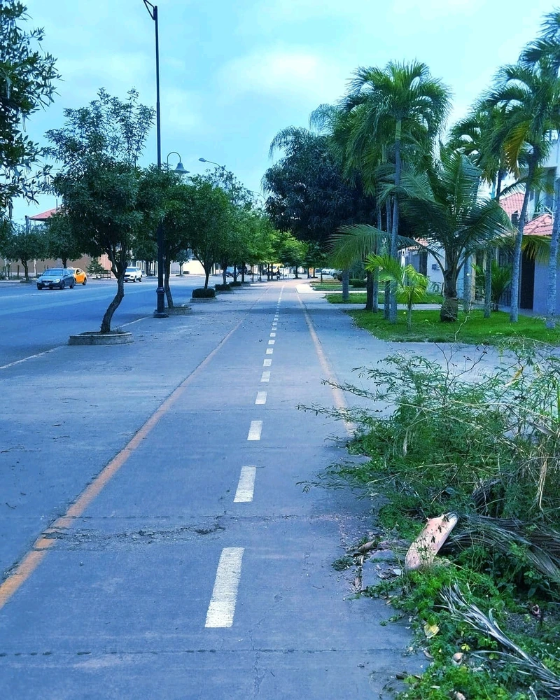 Imagen subida por Alejandro