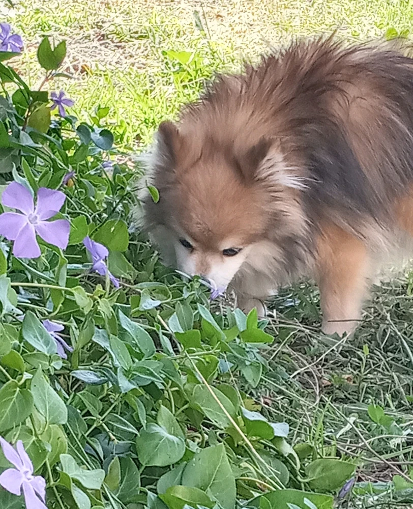 AndreaVがアップロードしたGIF