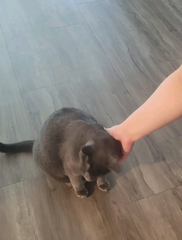 Image uploaded by Rashneel