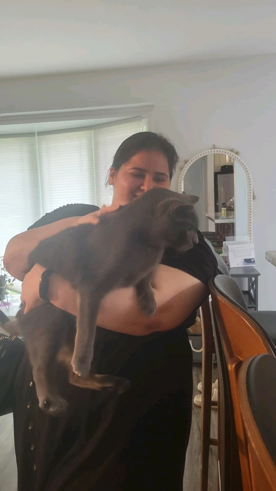 Image uploaded by Rashneel