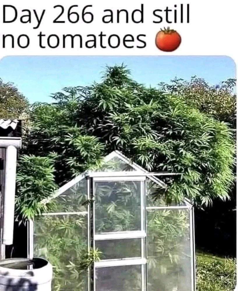 GIF diunggah dening ❤ Sophia aka Mango Mami ❤️