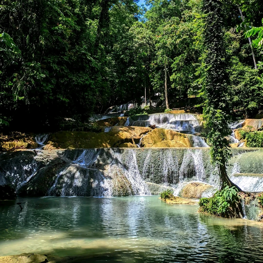 Gambar diunggah oleh renz