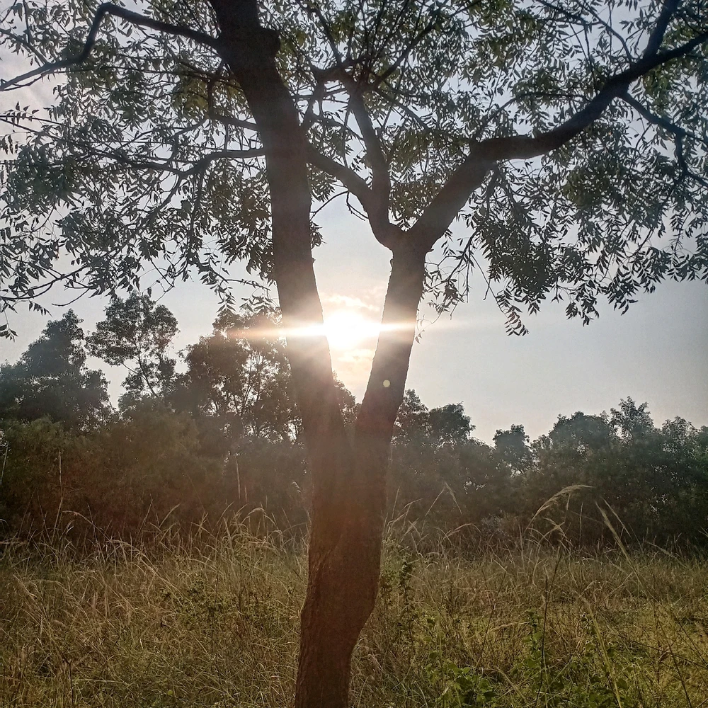 GIF uploaded by Bharath