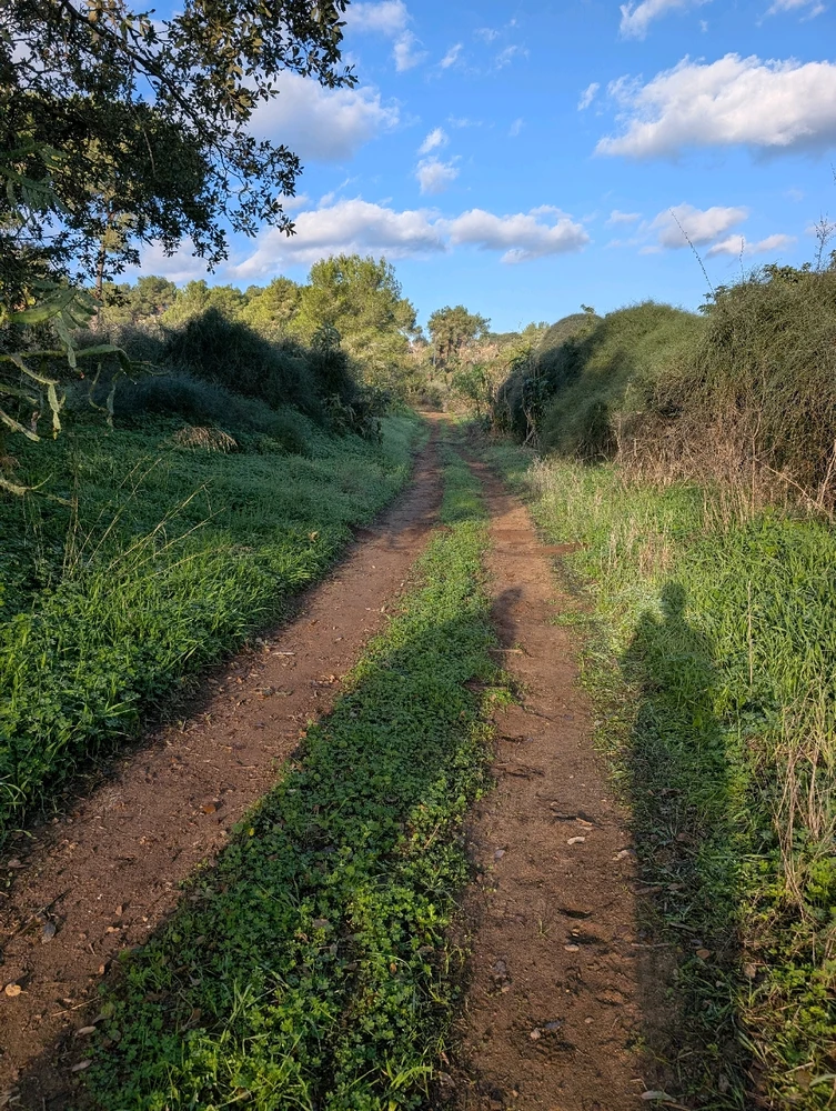 Image uploaded by Aviv