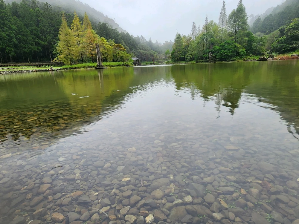心有不甘？怨氣？