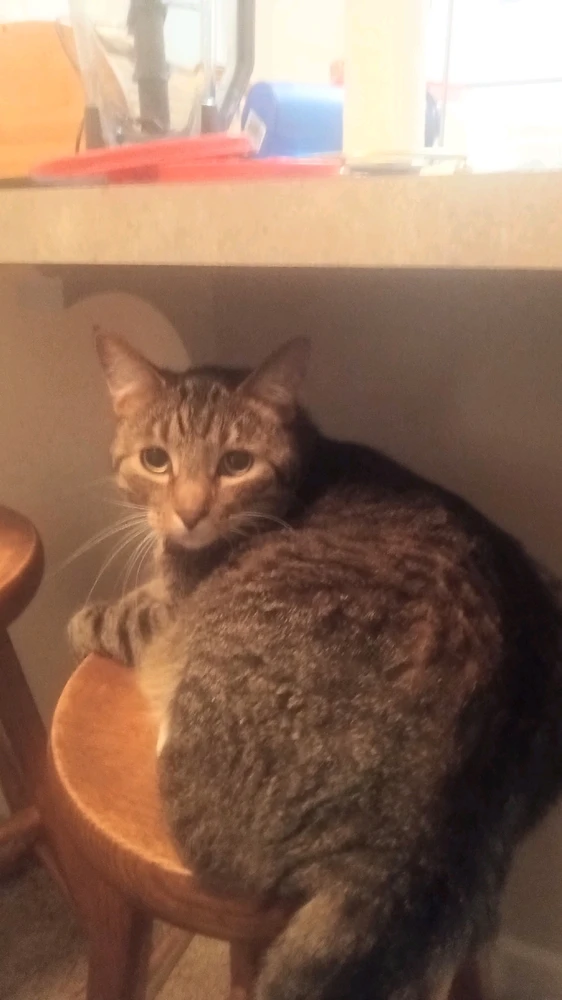 GIF uploaded by Patrick