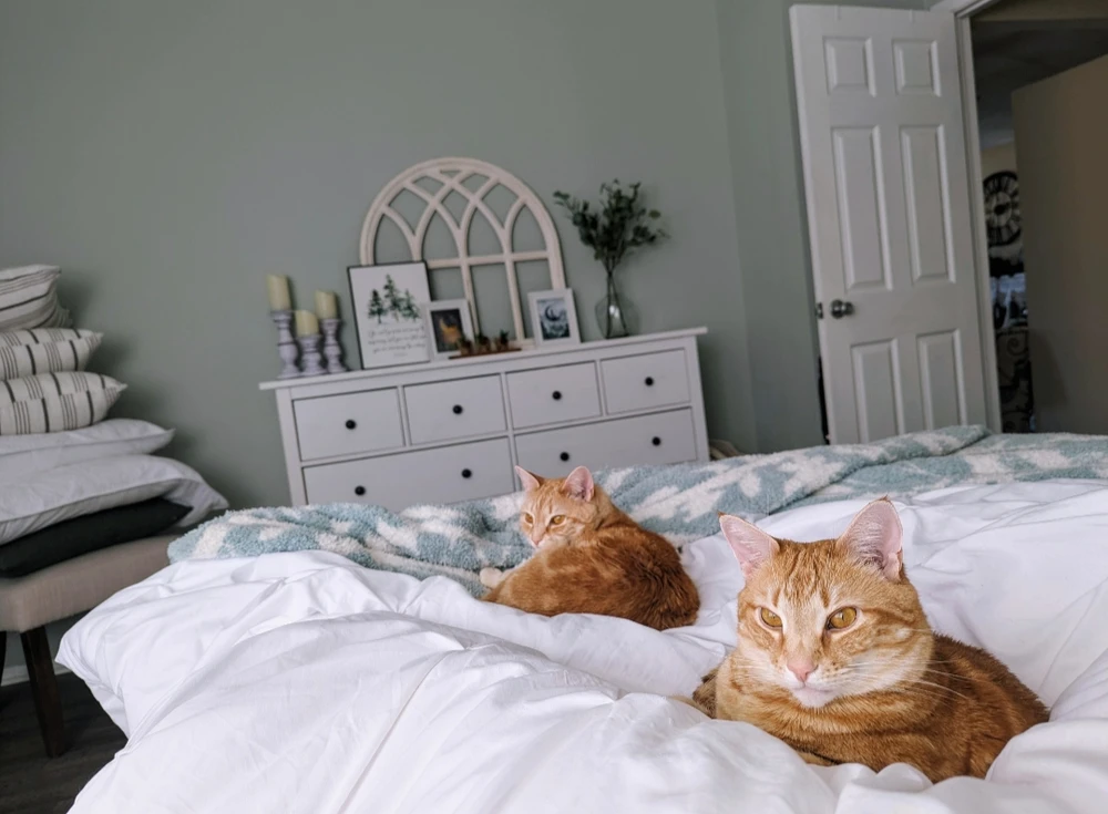 GIF uploaded by Melissa