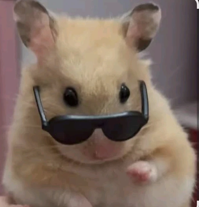 GIF subido por Roller