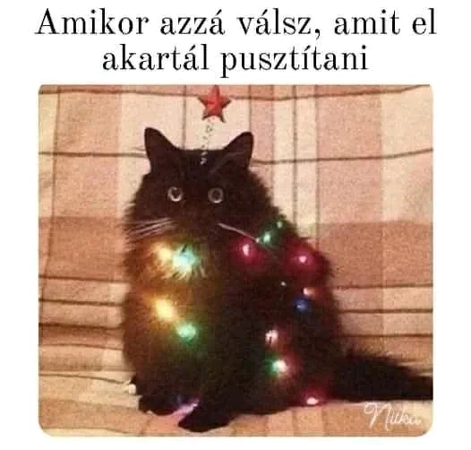 Máté által feltöltött GIF