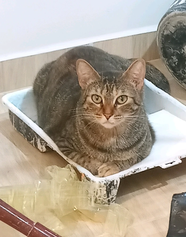 GIF enviado por Alan Moises