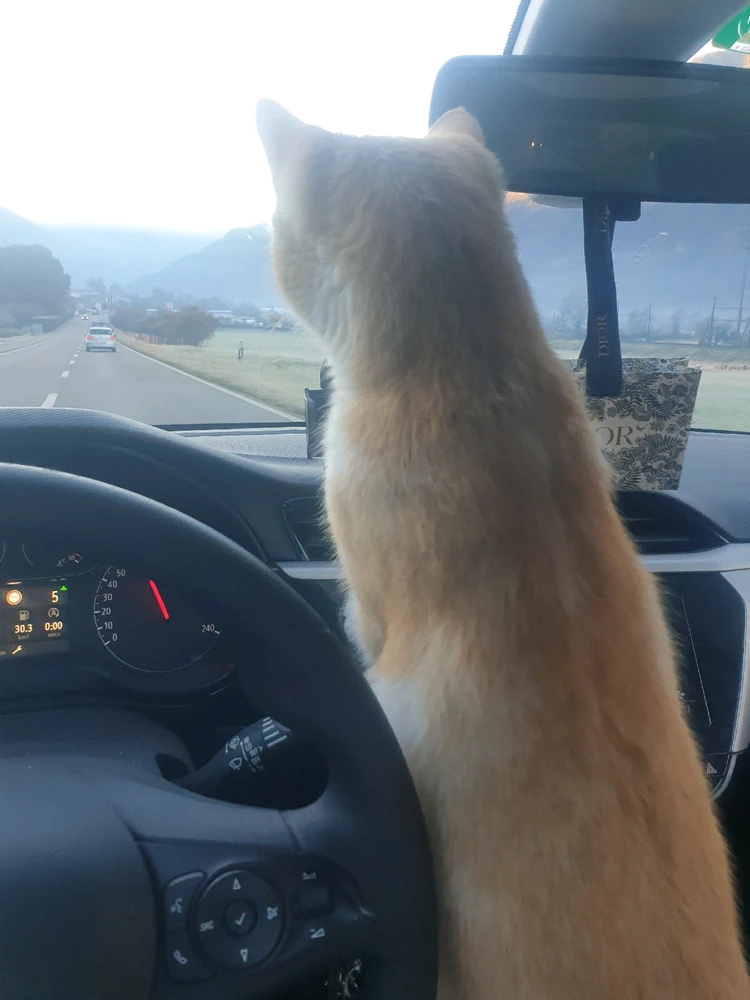 GIF caricata da Antonio