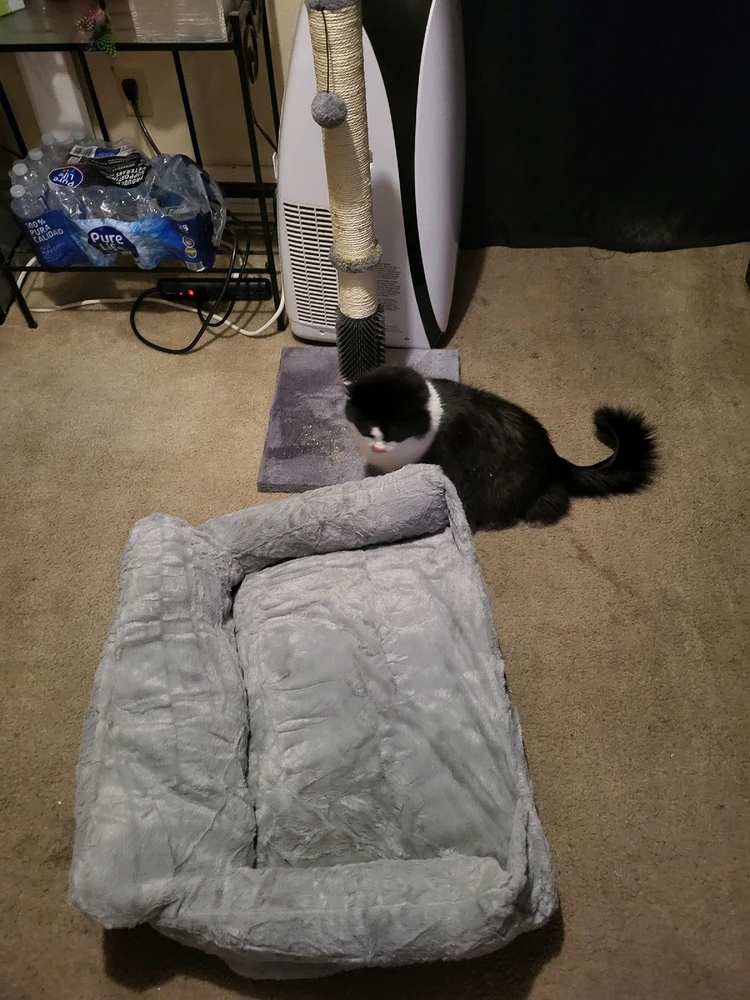 Image uploaded by Dylan