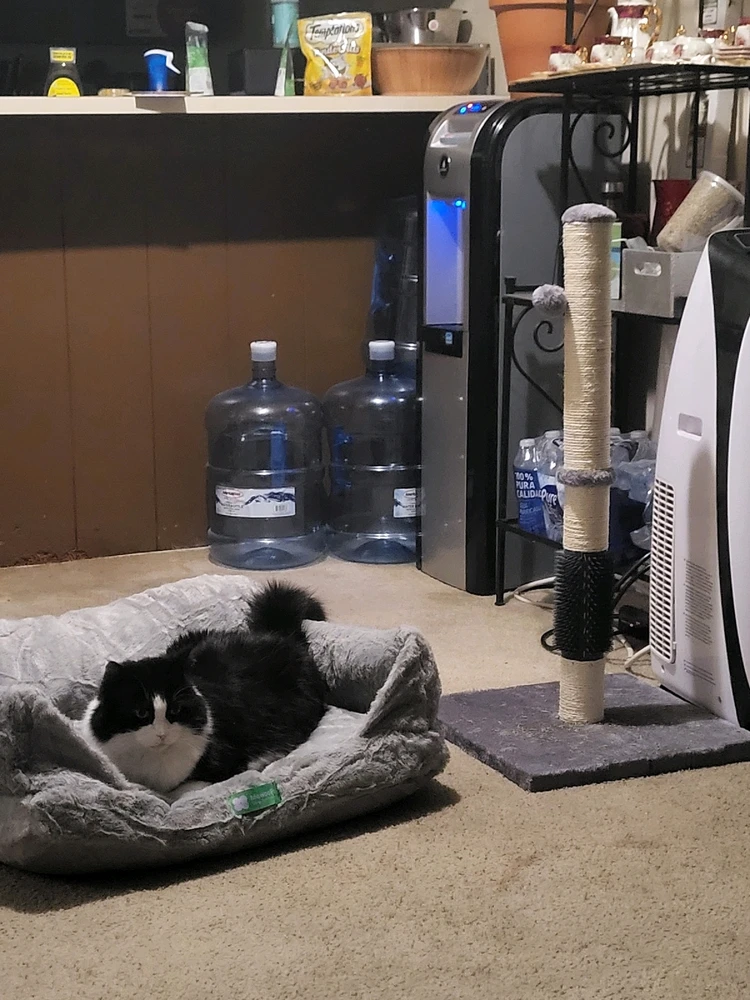 Image uploaded by Dylan