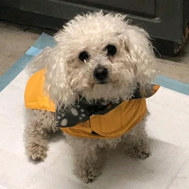 GIF uploaded by Joja