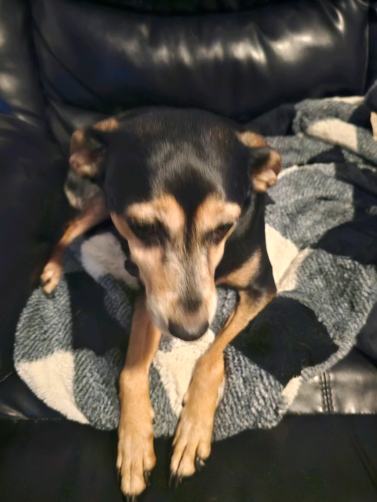 GIF uploaded by Johnathan