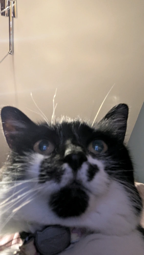 GIF uploaded by Frédéric