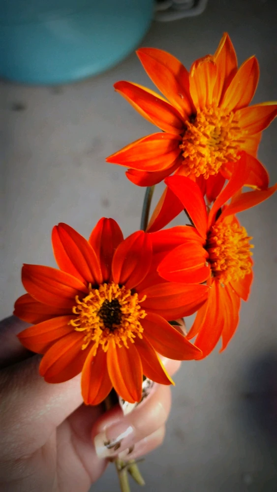 GIF uploaded by Silent🖤Screamer